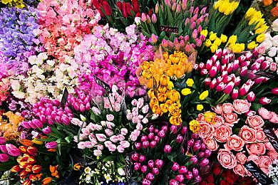 《神之亵渎3》要来 官推暗示三天后发布新消息