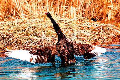 《毁灭战士：永恒》Horde模式新预告 今日正式上线